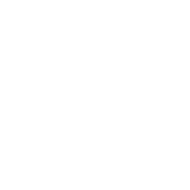 ProCap Price Icon Smart Club