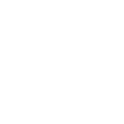 Smart Club Icon Smart Club