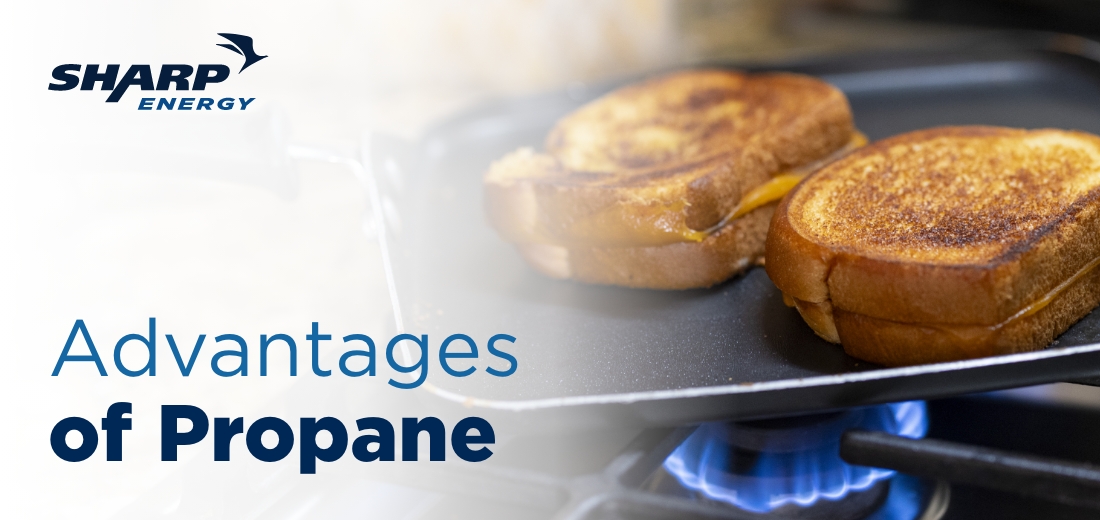  Hero Image10 Advantages of Propane Homeowners Love