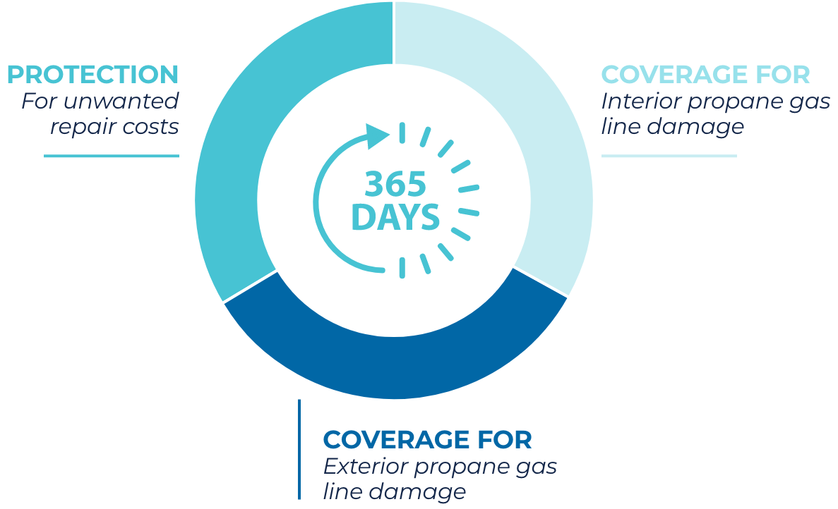 What the Protection 365 Plan Covers
