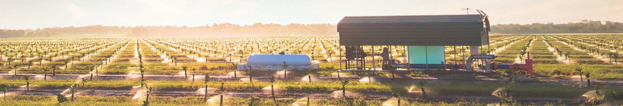 img_header@2x-scaled-1 Hero ImagePropane Farm Incentive Program
